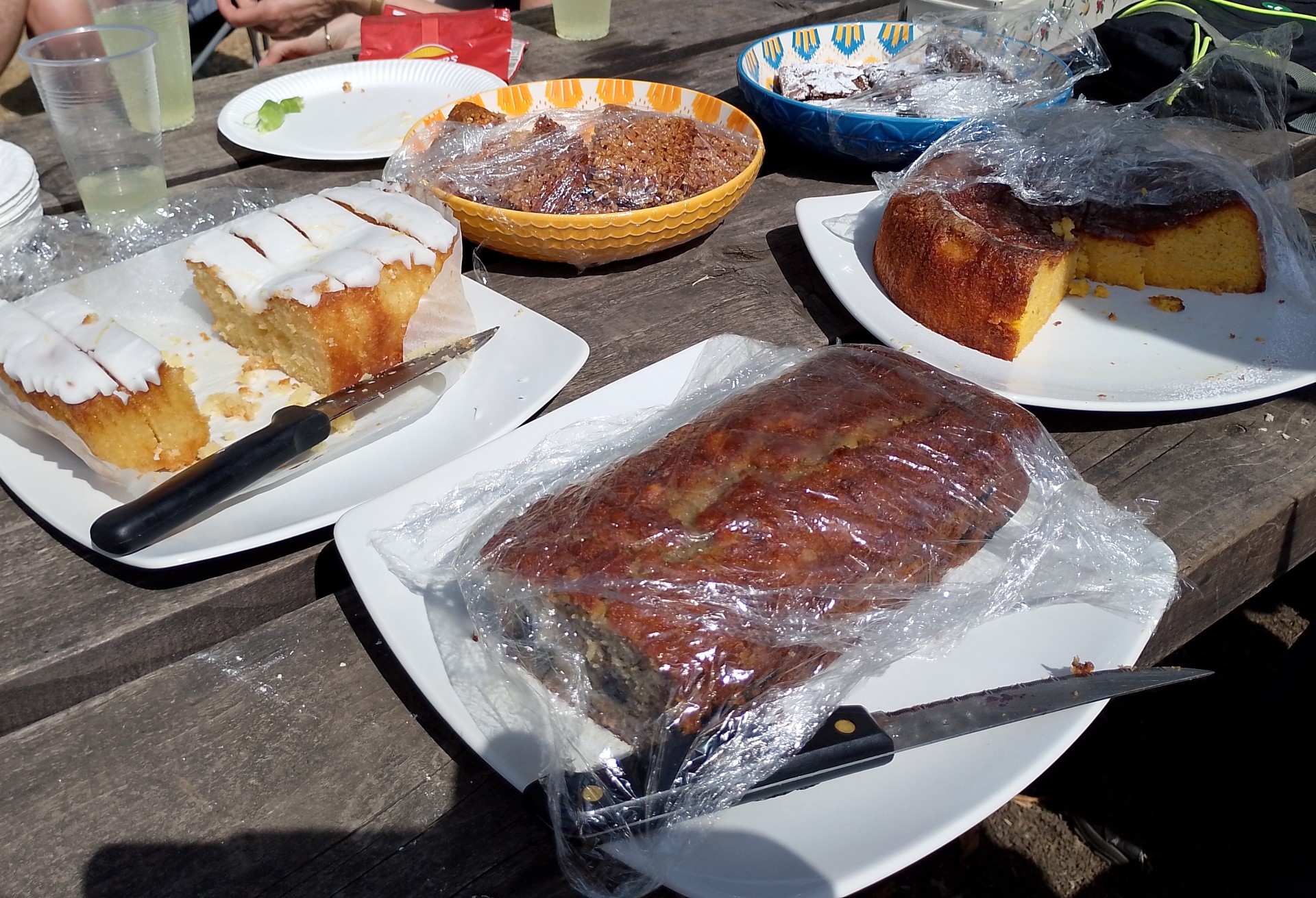 Picnic 2026 1